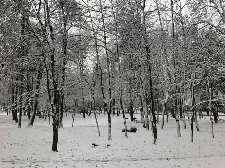 Різдвяна казка: Чернівці вперше засипало снігом