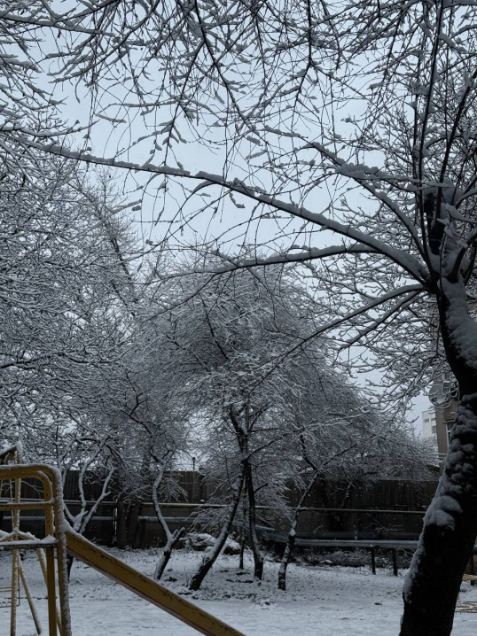 Різдвяна казка: Чернівці вперше засипало снігом