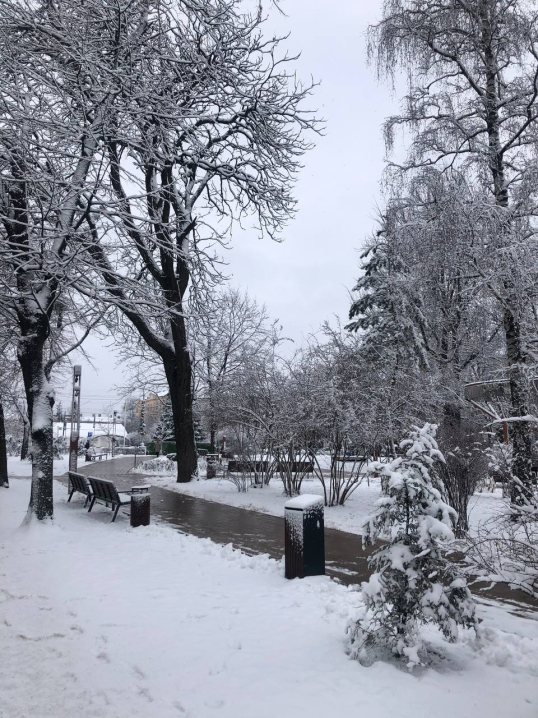 Різдвяна казка: Чернівці вперше засипало снігом