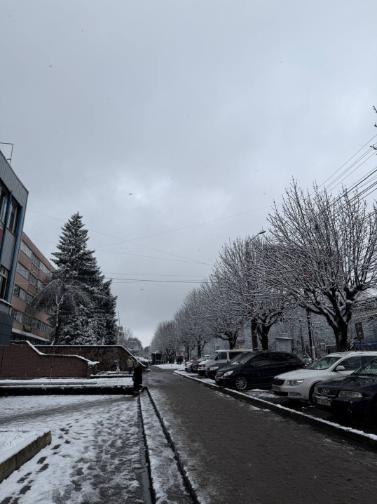 Різдвяна казка: Чернівці вперше засипало снігом