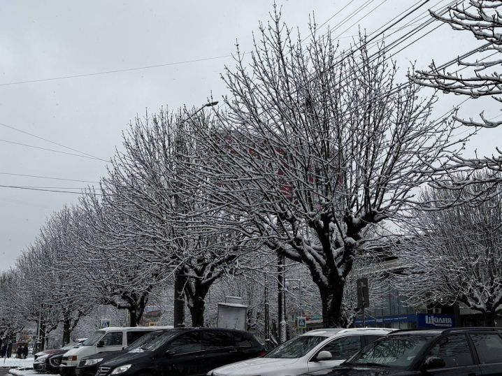 Різдвяна казка: Чернівці вперше засипало снігом