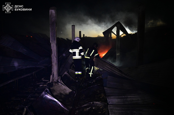 Загинуло 5 тисяч курей: вночі на Буковині вщент згоріла птахоферма (ФОТО)