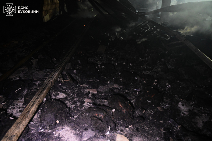 Загинуло 5 тисяч курей: вночі на Буковині вщент згоріла птахоферма (ФОТО)