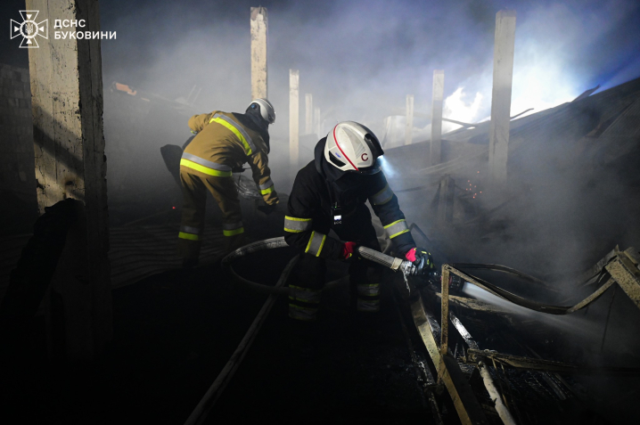 Загинуло 5 тисяч курей: вночі на Буковині вщент згоріла птахоферма (ФОТО)
