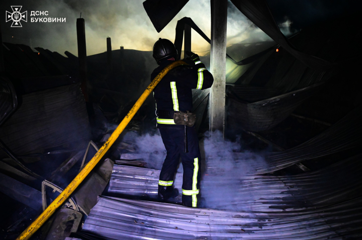 Загинуло 5 тисяч курей: вночі на Буковині вщент згоріла птахоферма (ФОТО)