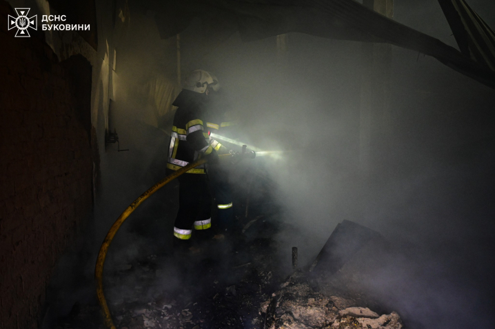 Загинуло 5 тисяч курей: вночі на Буковині вщент згоріла птахоферма (ФОТО)