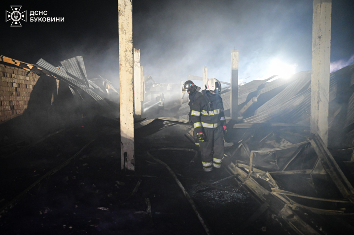 Загинуло 5 тисяч курей: вночі на Буковині вщент згоріла птахоферма (ФОТО)