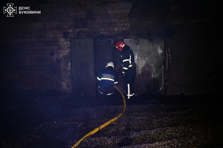 Загинуло 5 тисяч курей: вночі на Буковині вщент згоріла птахоферма (ФОТО)