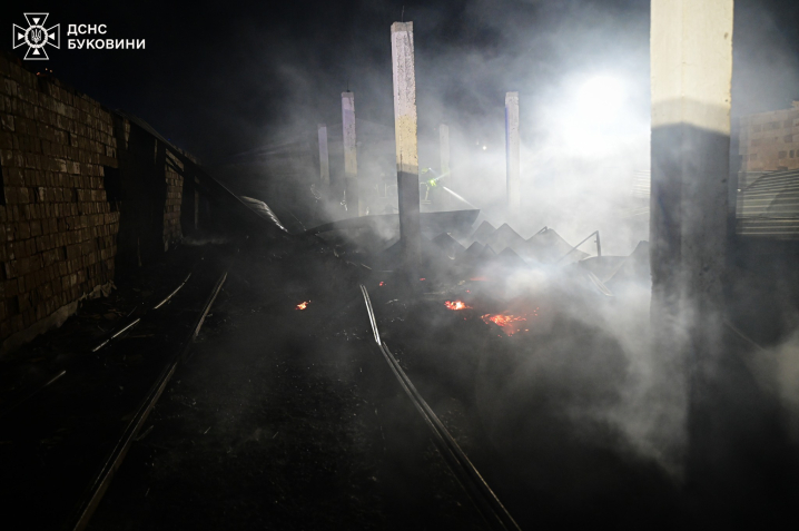 Загинуло 5 тисяч курей: вночі на Буковині вщент згоріла птахоферма (ФОТО)