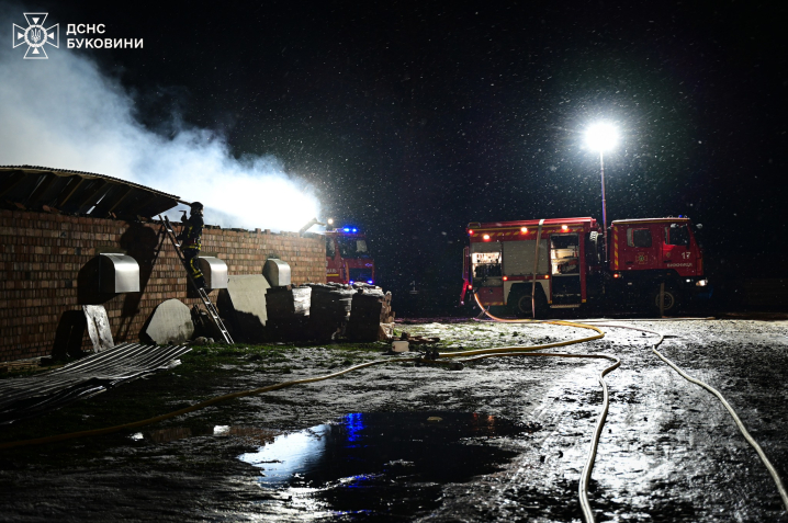 Загинуло 5 тисяч курей: вночі на Буковині вщент згоріла птахоферма (ФОТО)