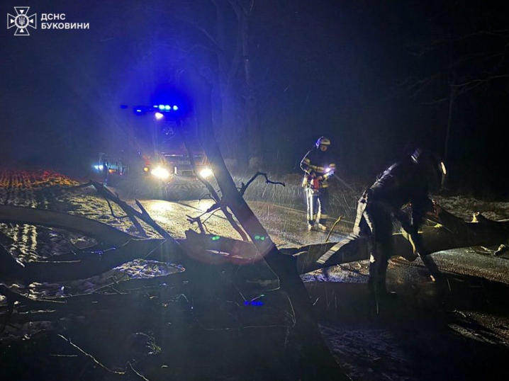 У Чернівцях поривчастий вітер повалив дерево на припарковане авто