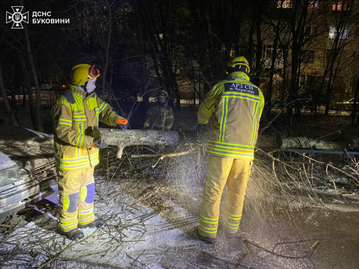 У Чернівцях вітер повалив чергове дерево на припарковане авто