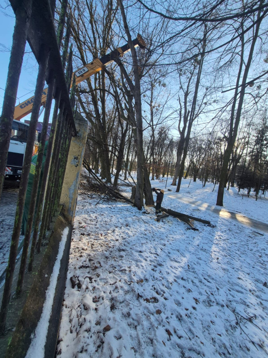 У Чернівцях у парку Шевченка прибирають повалені після негоди дерева
