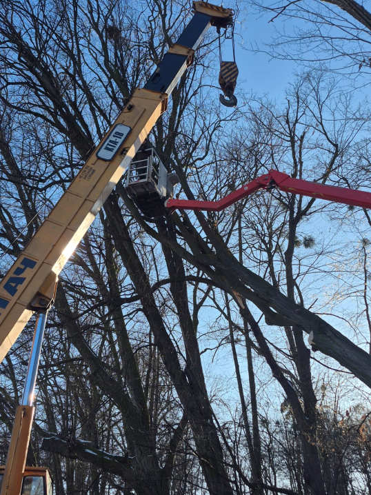 У Чернівцях у парку Шевченка прибирають повалені після негоди дерева