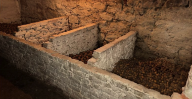 На Хмельниччині чоловік використовує неоготичну будівлю XVIII століття як хлів для свиней і картоплі