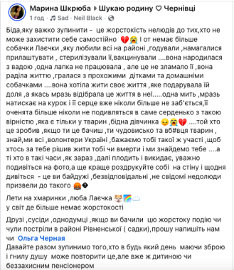 Чернівцями розгулює озброєна людина і відстрілює безпритульних тварин