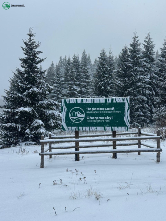 Зимова казка. Нацпарк "Черемоський" опублікував світлини засніженого лісу