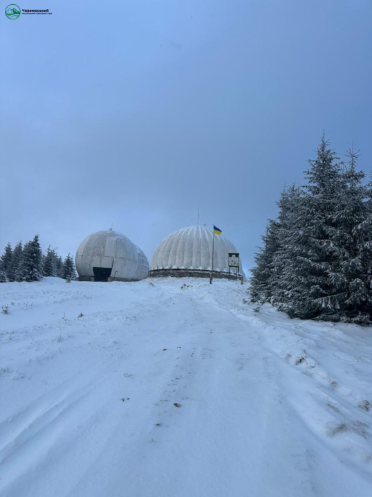 Зимова казка. Нацпарк "Черемоський" опублікував світлини засніженого лісу