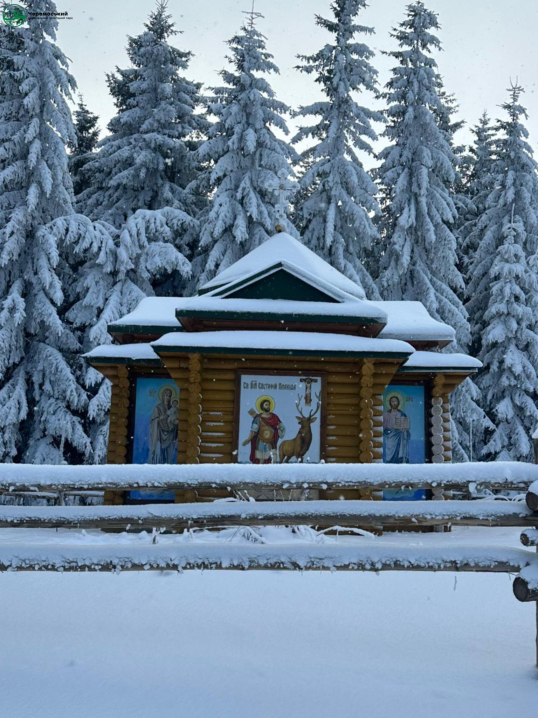 Зимова казка. Нацпарк "Черемоський" опублікував світлини засніженого лісу