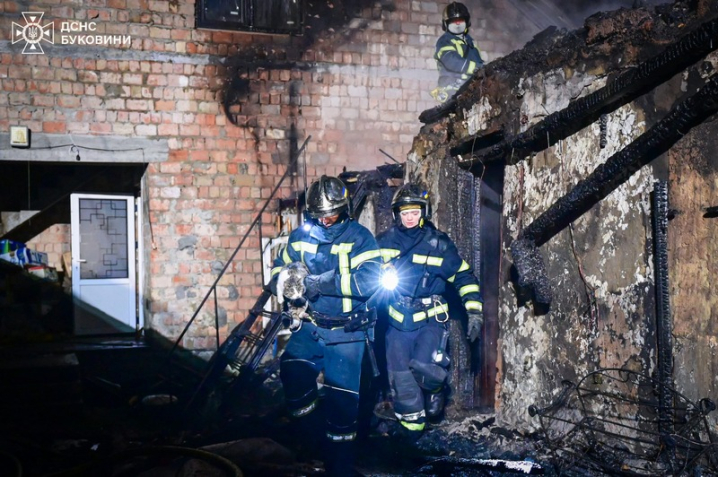 Під час пожежі у Чернівцях надзвичайники врятували двох котів