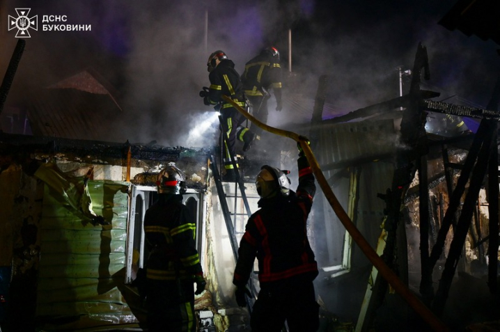 Під час пожежі у Чернівцях надзвичайники врятували двох котів