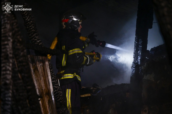 Під час пожежі у Чернівцях надзвичайники врятували двох котів