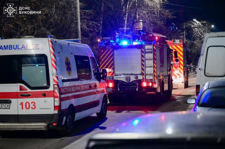 Під час пожежі у Чернівцях надзвичайники врятували двох котів