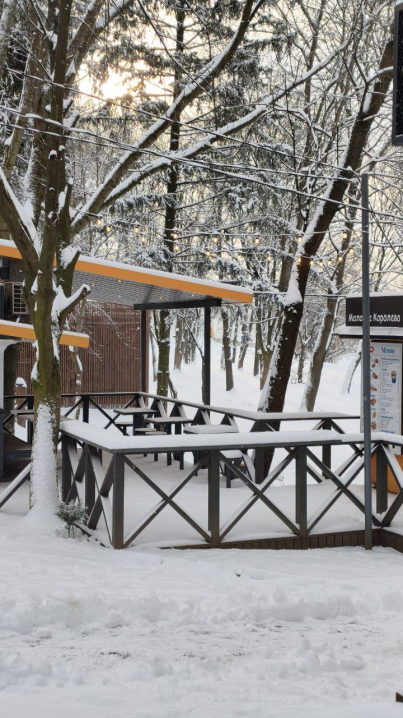 Чернівці замело снігом: фото засніженого ранкового міста (ФОТО)