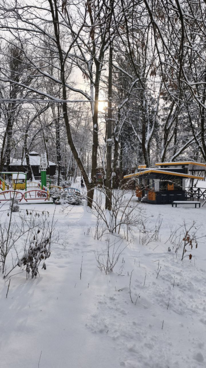 Чернівці замело снігом: фото засніженого ранкового міста (ФОТО)