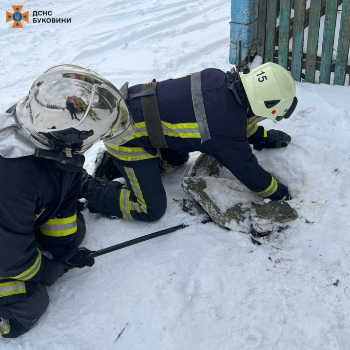 Небайдужі почули скавчання: у Заставні рятувальники витягнули собаку з глибокої ями