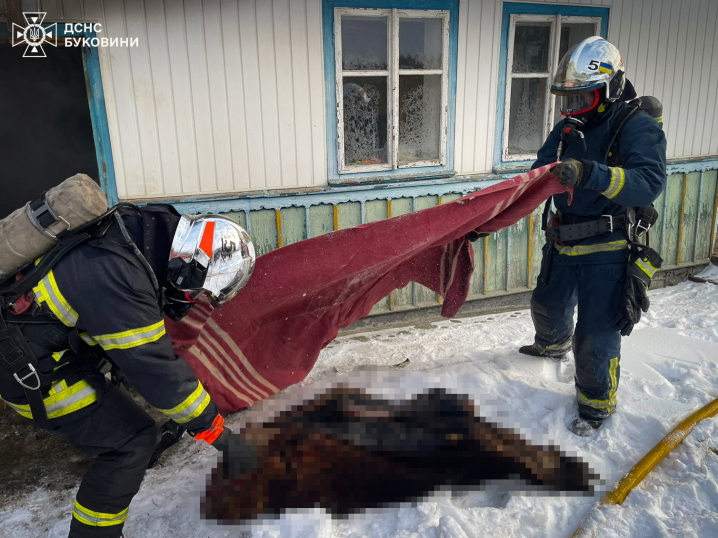 У пожежі на Буковині загинув чоловік: рятувальників викликали очевидці У пожежі на Буковині загинув чоловік: рятувальників викликали очевидці