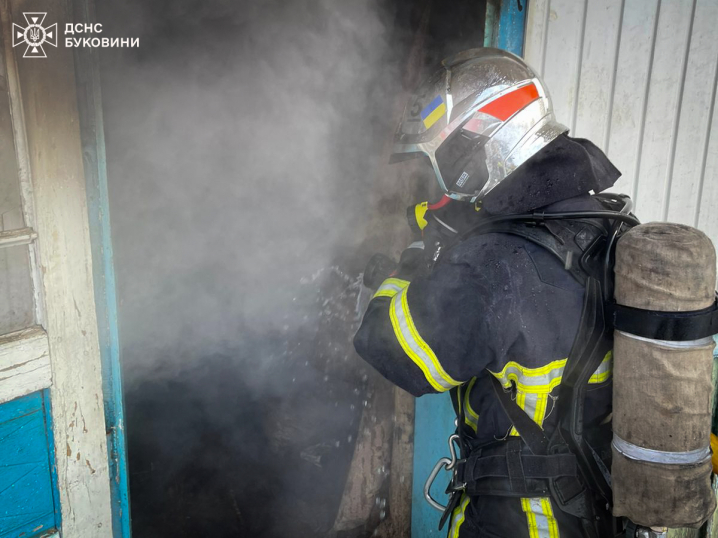 У пожежі на Буковині загинув чоловік: рятувальників викликали очевидці У пожежі на Буковині загинув чоловік: рятувальників викликали очевидці