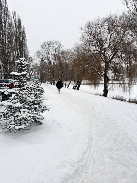 У Чернівцях панує зима. Ранкові фото засніженого міста