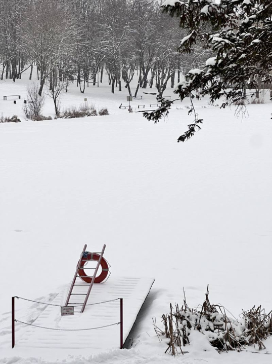 У Чернівцях панує зима. Ранкові фото засніженого міста