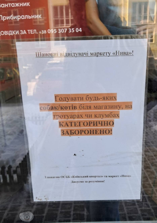 У Чернівцях біля маркету заборонили годувати безпритульних тварин під час морозів