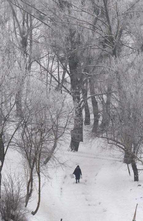 Чернівці огорнув густий туман та вдарив сильний мороз