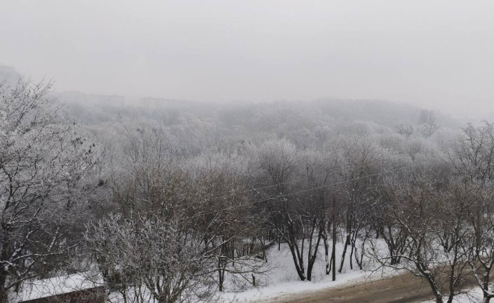 Чернівці огорнув густий туман та вдарив сильний мороз