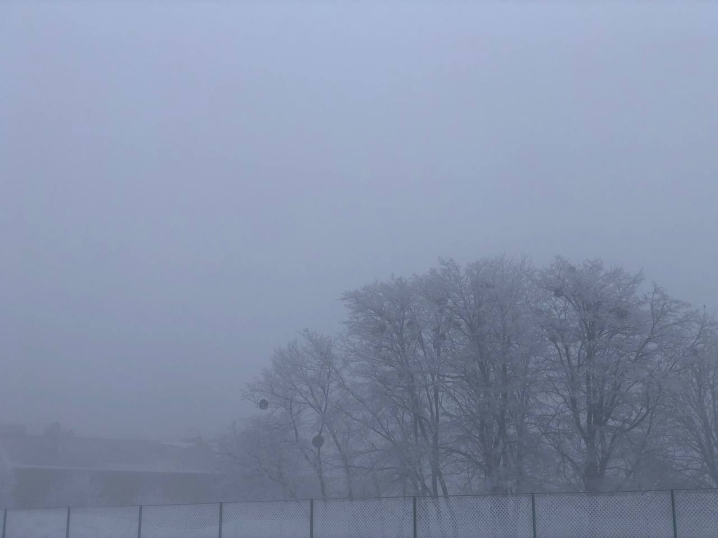 Чернівці огорнув густий туман та вдарив сильний мороз