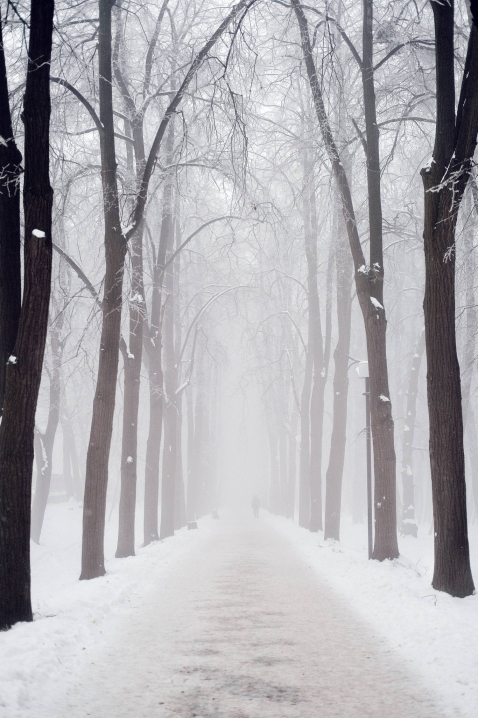 Туман і сніг у Чернівцях: фоторепортаж Максима Козменка із життя міста
