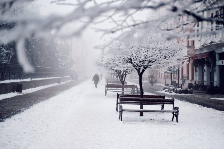 Туман і сніг у Чернівцях: фоторепортаж Максима Козменка із життя міста