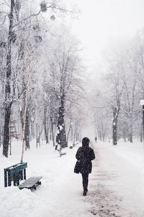Туман і сніг у Чернівцях: фоторепортаж Максима Козменка із життя міста