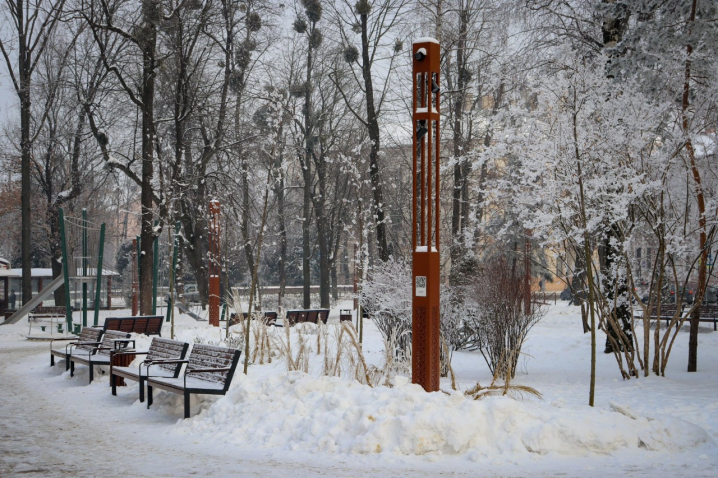 Дерева мерзнуть, місто завмирає: зимові Чернівці очима зелентресту