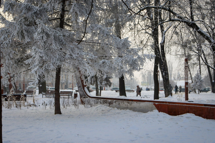 Дерева мерзнуть, місто завмирає: зимові Чернівці очима зелентресту