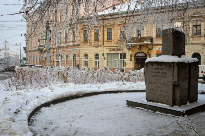 Дерева мерзнуть, місто завмирає: зимові Чернівці очима зелентресту