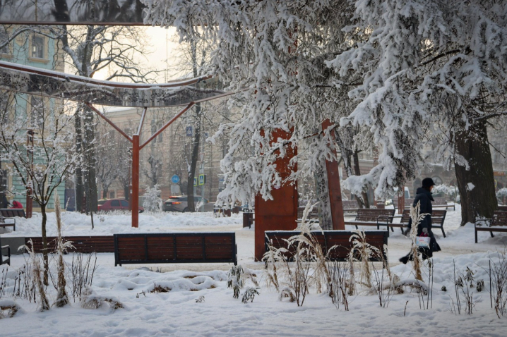 Дерева мерзнуть, місто завмирає: зимові Чернівці очима зелентресту
