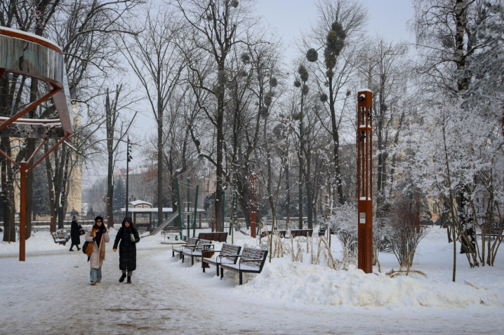 Дерева мерзнуть, місто завмирає: зимові Чернівці очима зелентресту