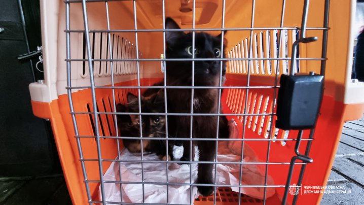 До Чернівців прибув черговий евакуаційний потяг До Чернівців прибув черговий евакуаційний потяг