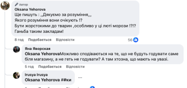 У Чернівцях біля маркету заборонили годувати безпритульних тварин під час морозів