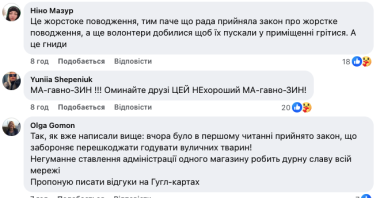 У Чернівцях біля маркету заборонили годувати безпритульних тварин під час морозів