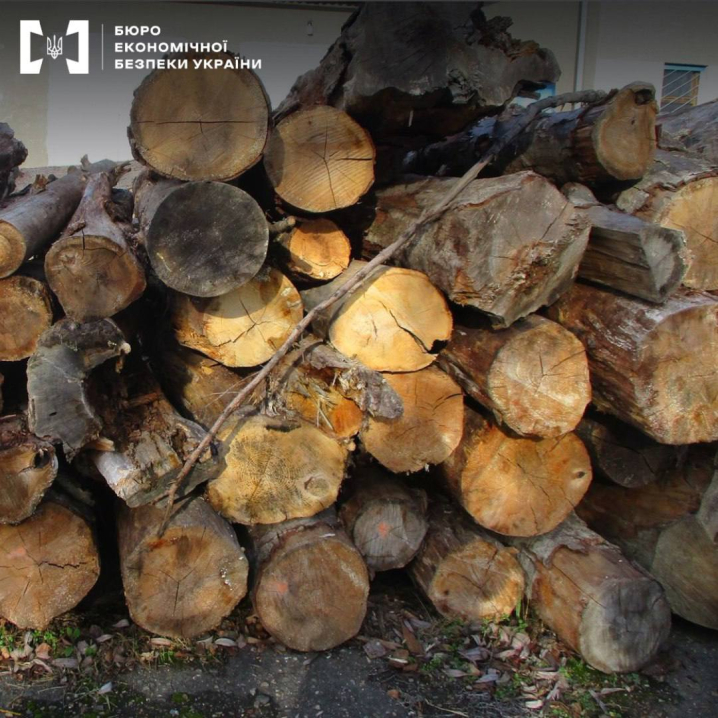 Намагався контрабандою вивезти за кордон деревину: на Буковині викрили підприємця